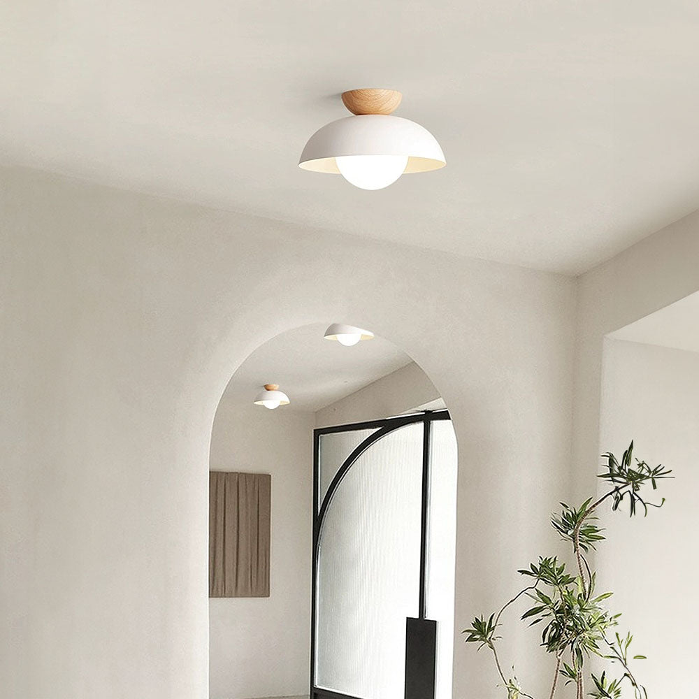 Suzu Ceiling Light