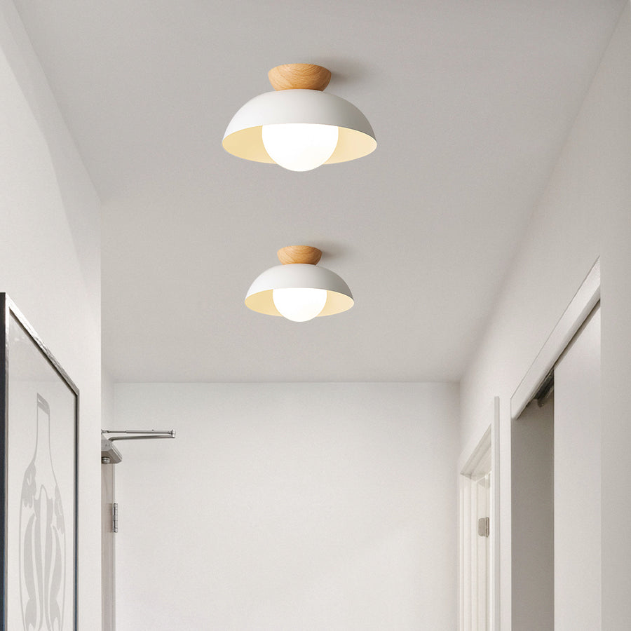 Suzu Ceiling Light