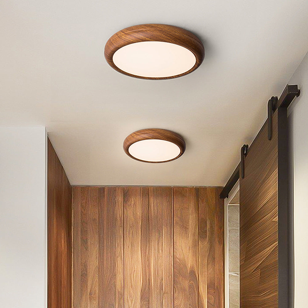 Enso Ceiling Light