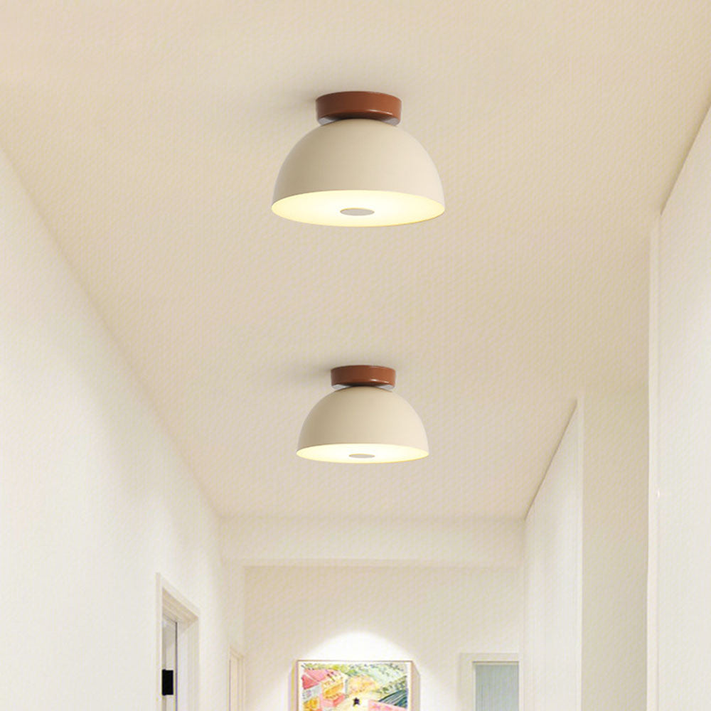 Roji Ceiling Light