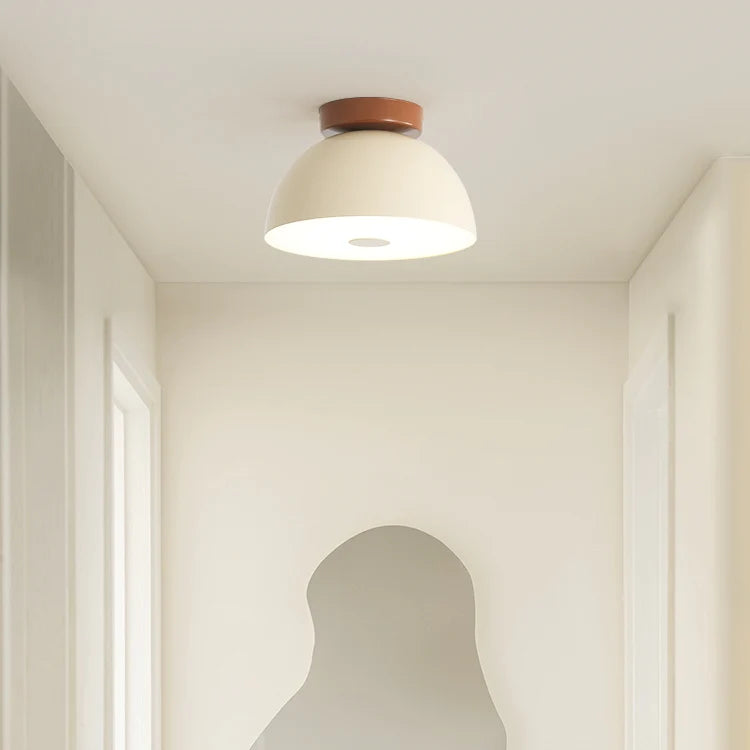 Roji Ceiling Light