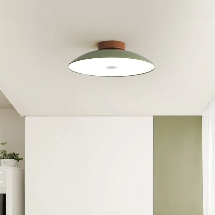 Roji Ceiling Light