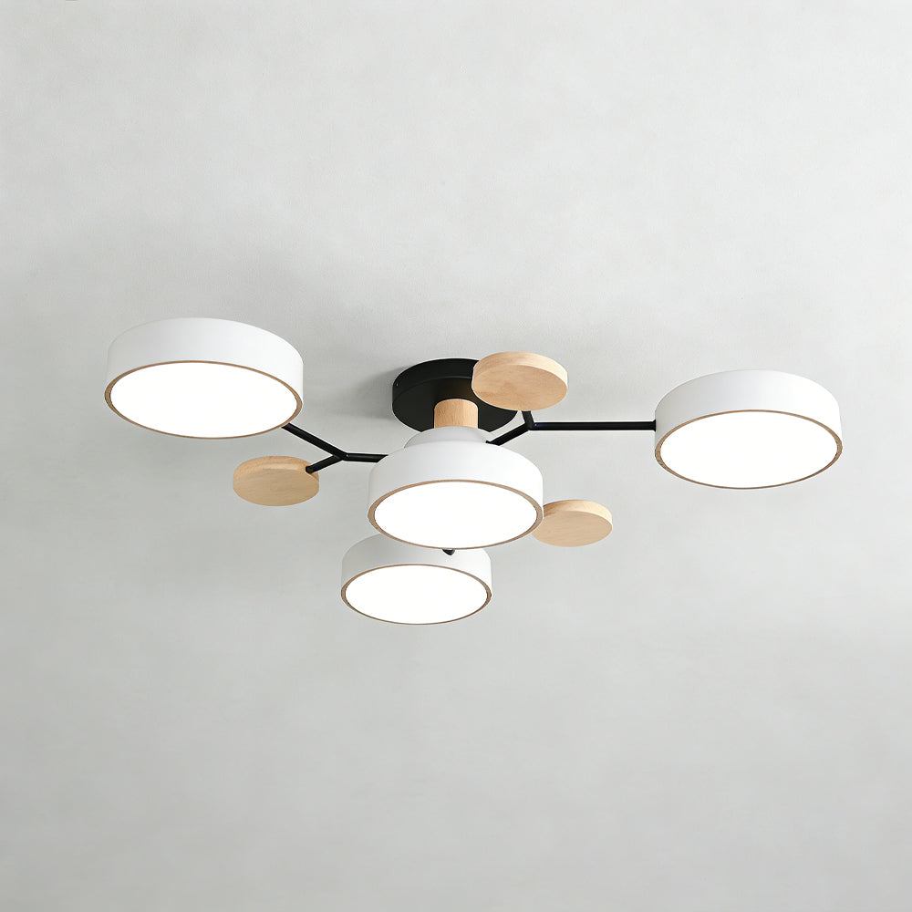 Eda Ceiling Light