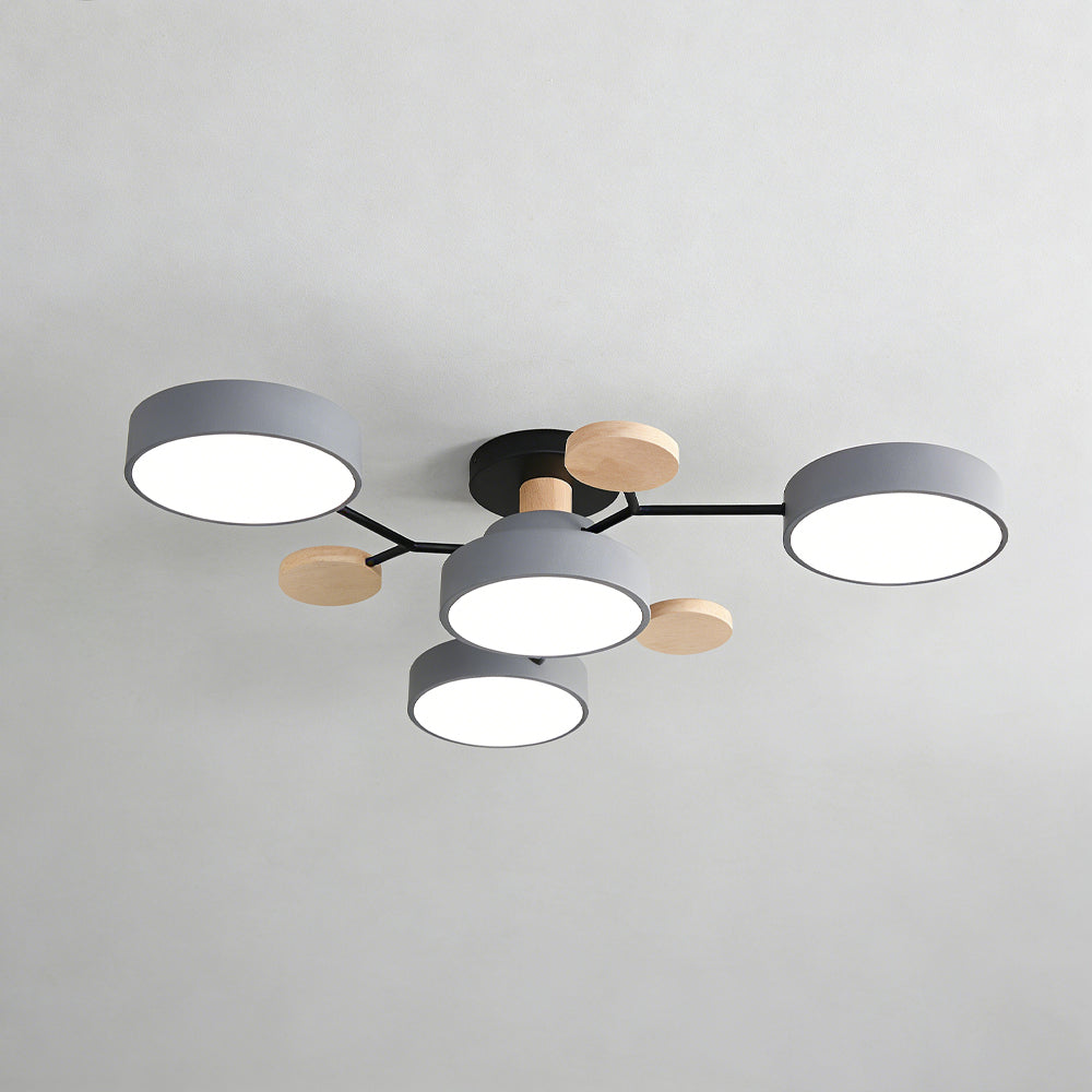 Eda Ceiling Light