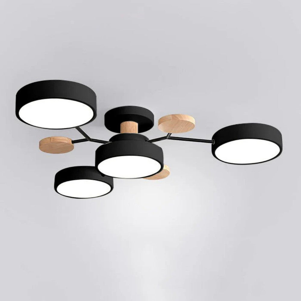 Eda Ceiling Light