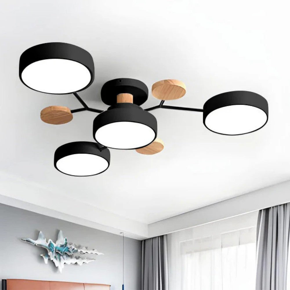 Eda Ceiling Light