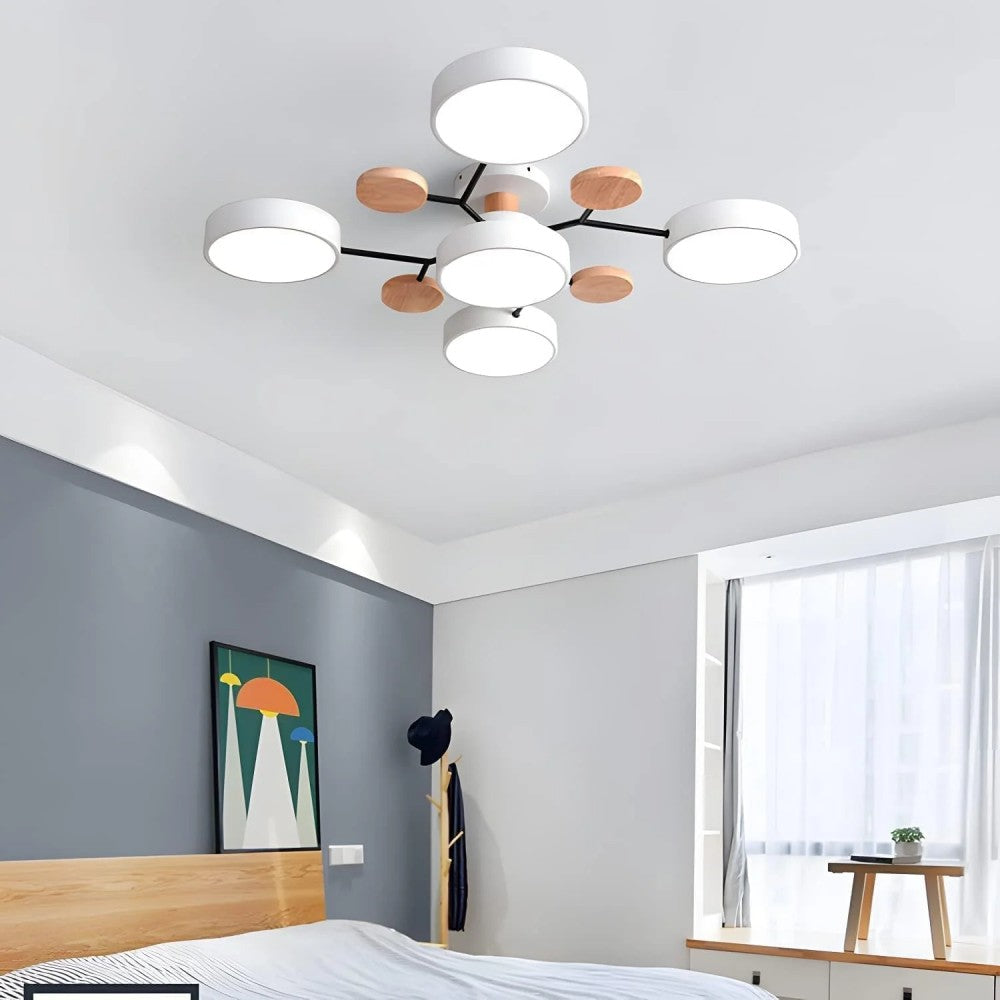 Eda Ceiling Light
