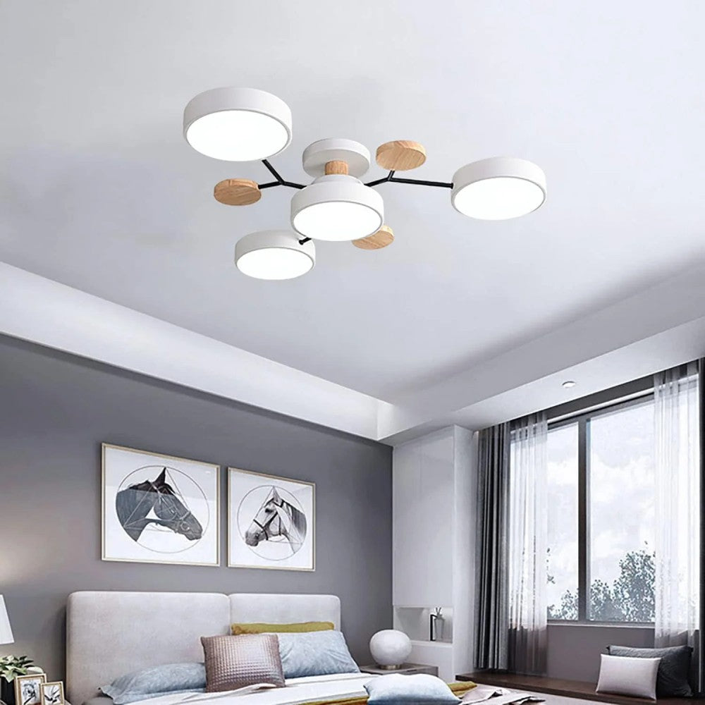 Eda Ceiling Light