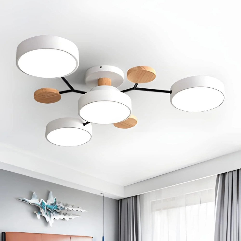 Eda Ceiling Light