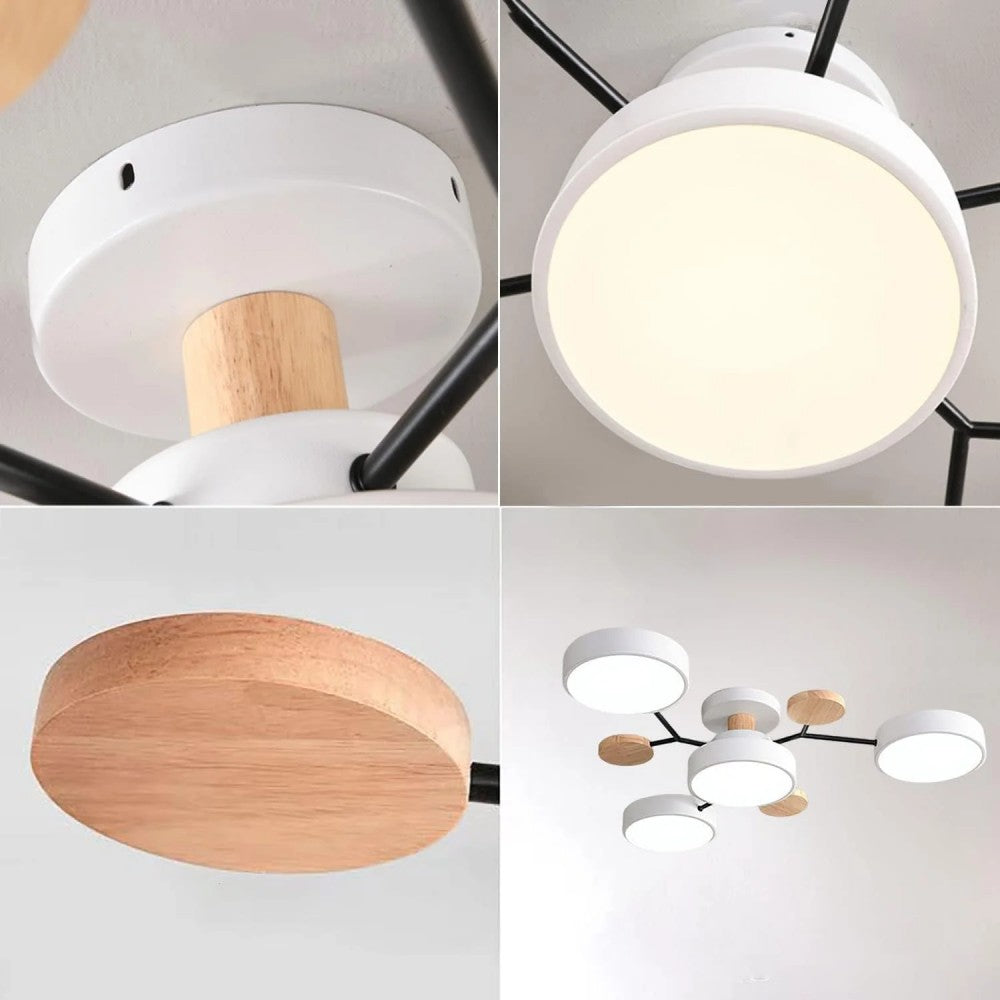 Eda Ceiling Light