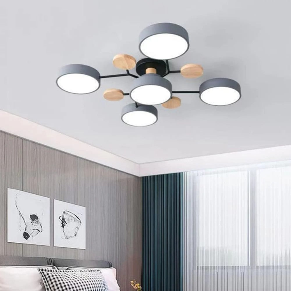Eda Ceiling Light