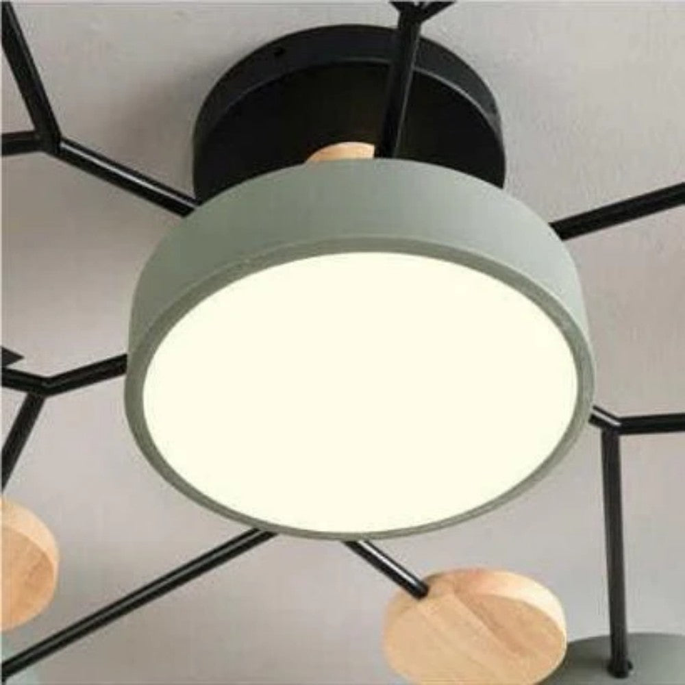 Eda Ceiling Light