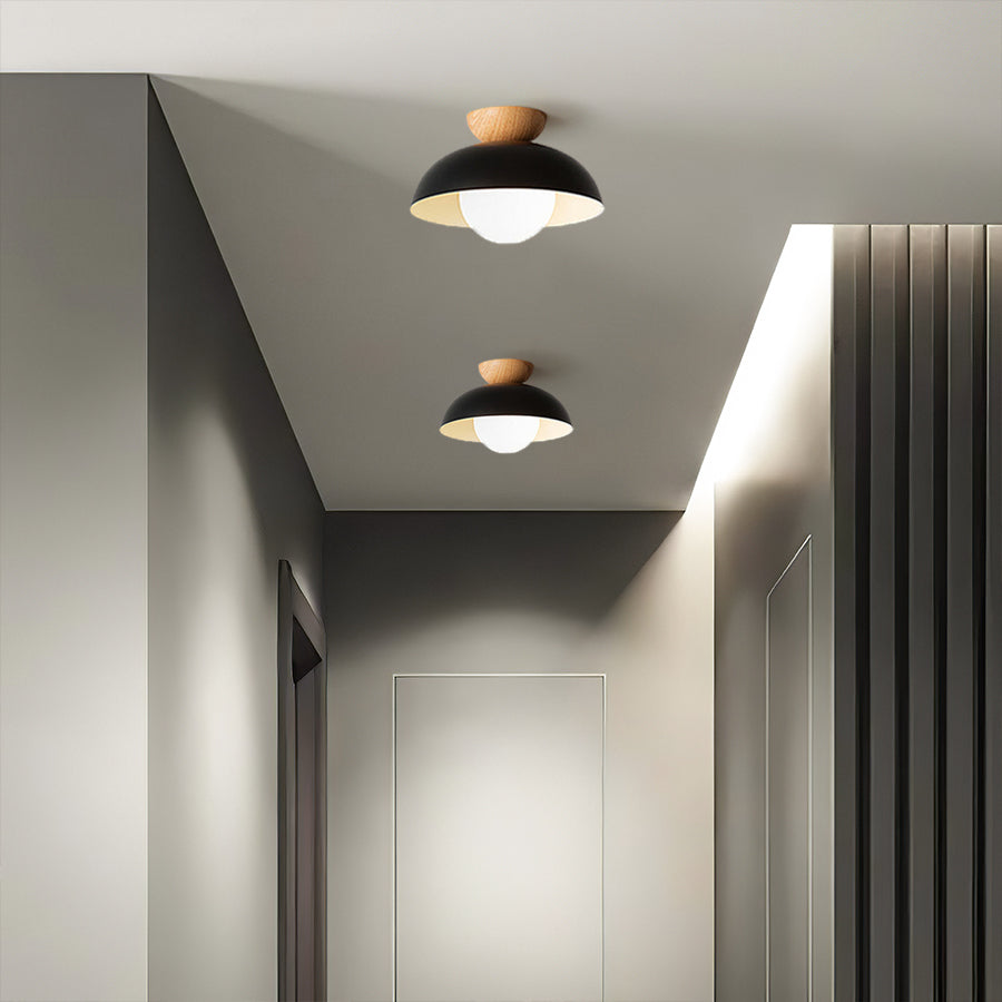 Suzu Ceiling Light