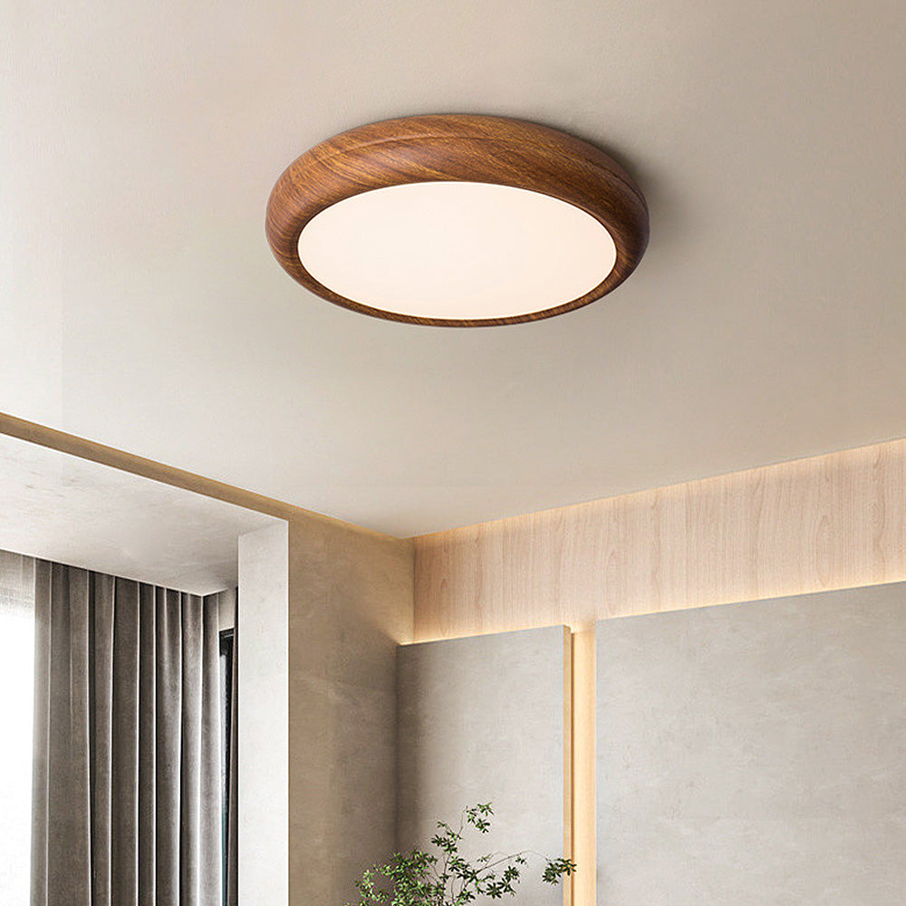 Enso Ceiling Light