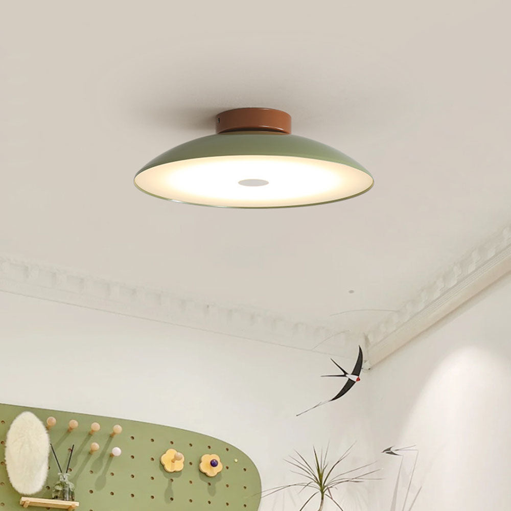 Roji Ceiling Light