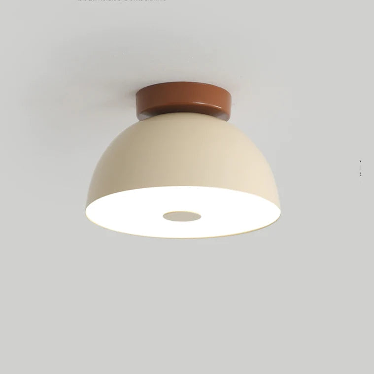 Roji Ceiling Light