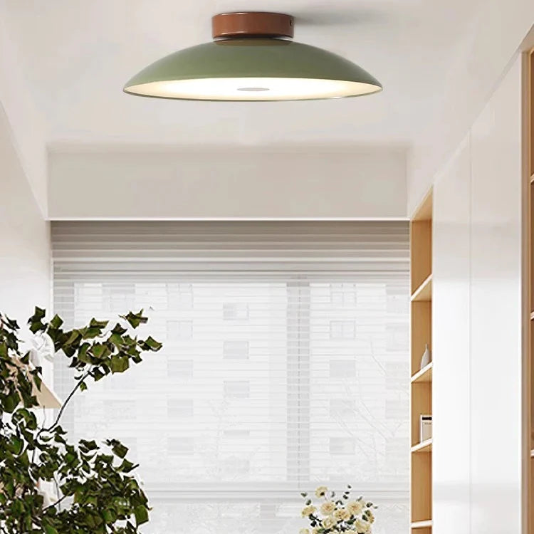 Roji Ceiling Light