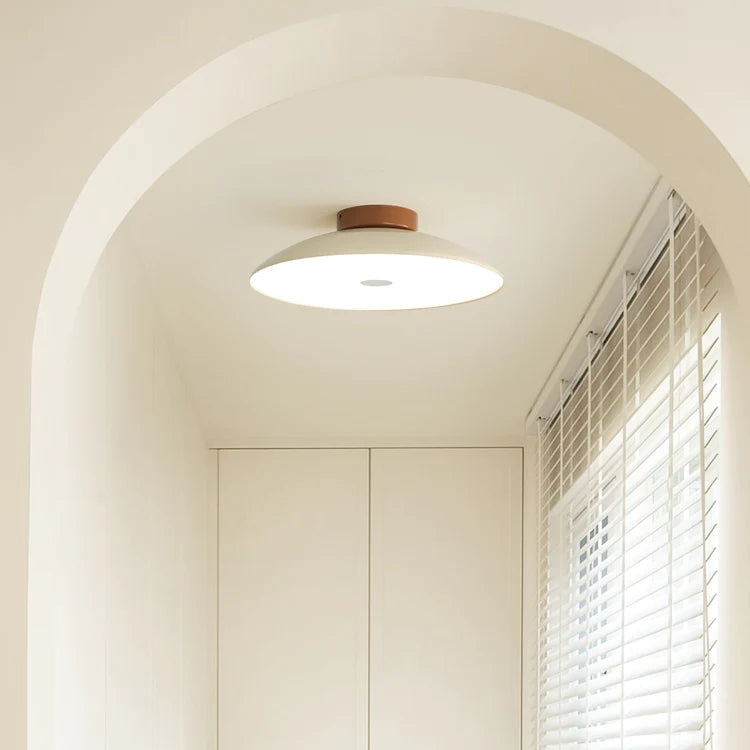 Roji Ceiling Light