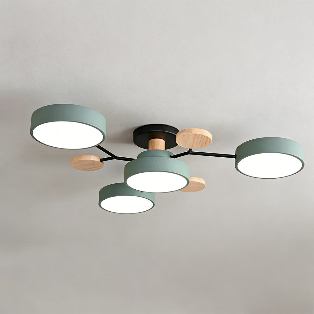Eda Ceiling Light