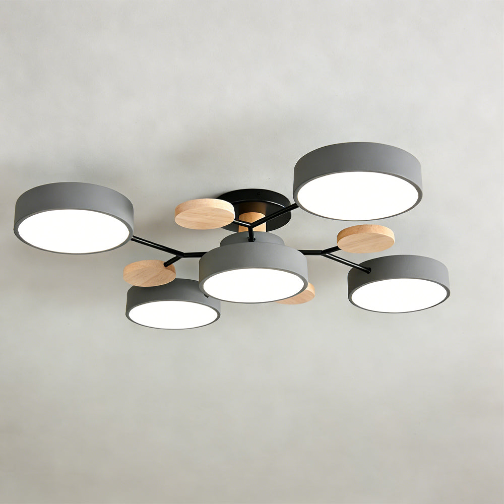 Eda Ceiling Light