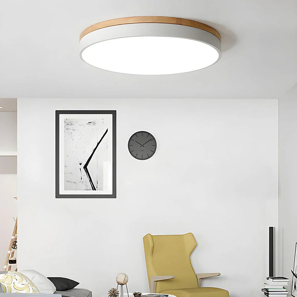Ki Ceiling Disc