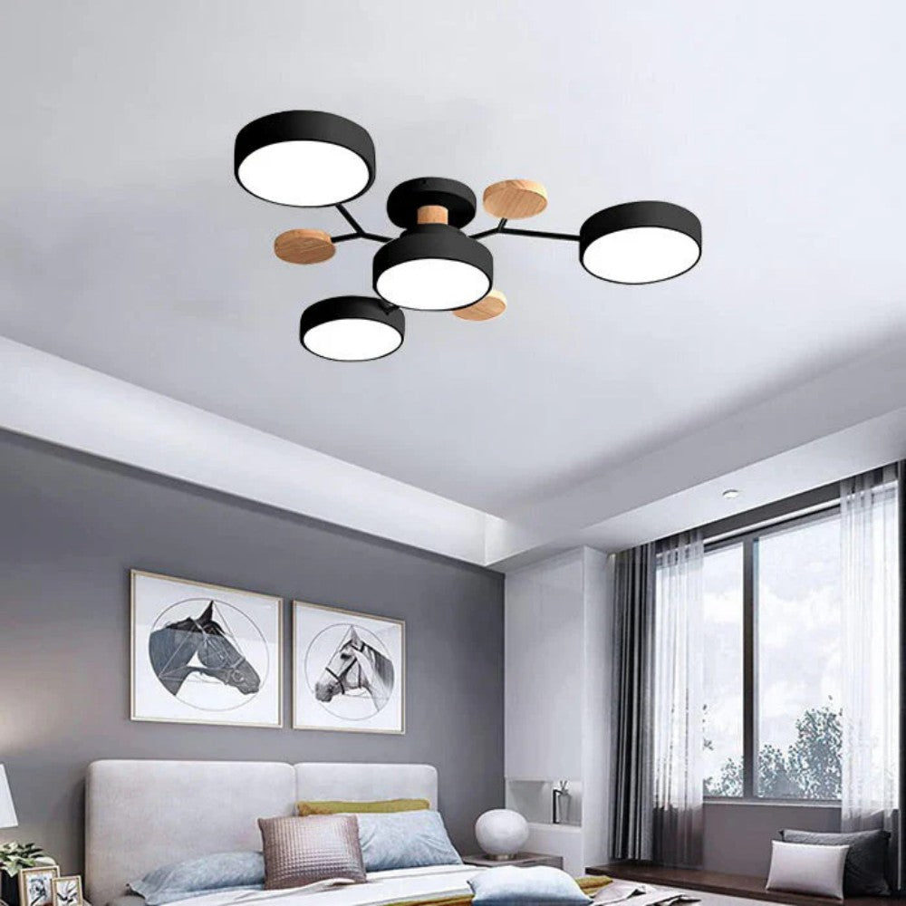 Eda Ceiling Light
