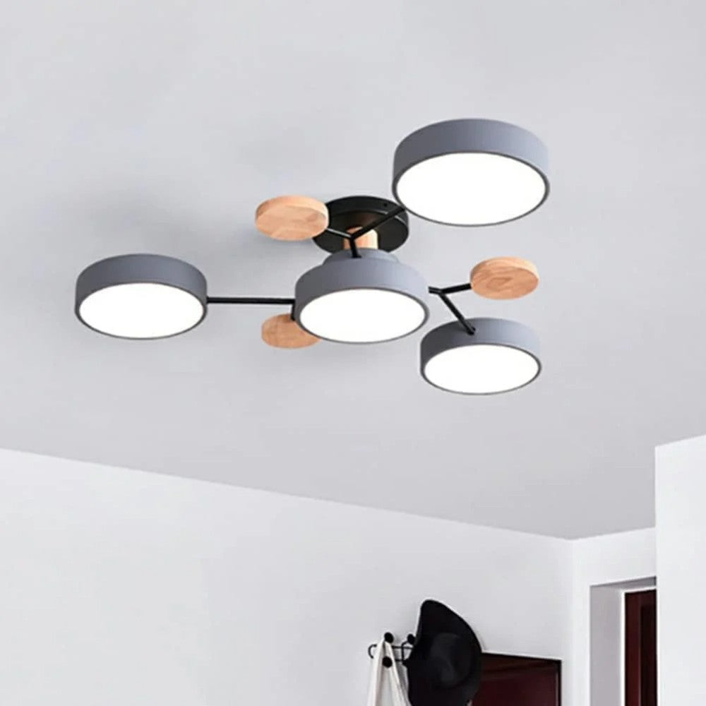 Eda Ceiling Light
